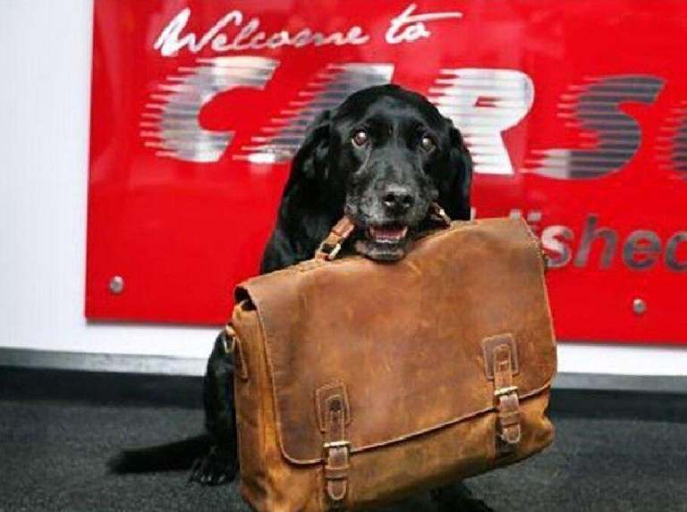 2017 Audi A3 1.6 TDI S Line 2dr CONVERTIBLE DIESEL Manual