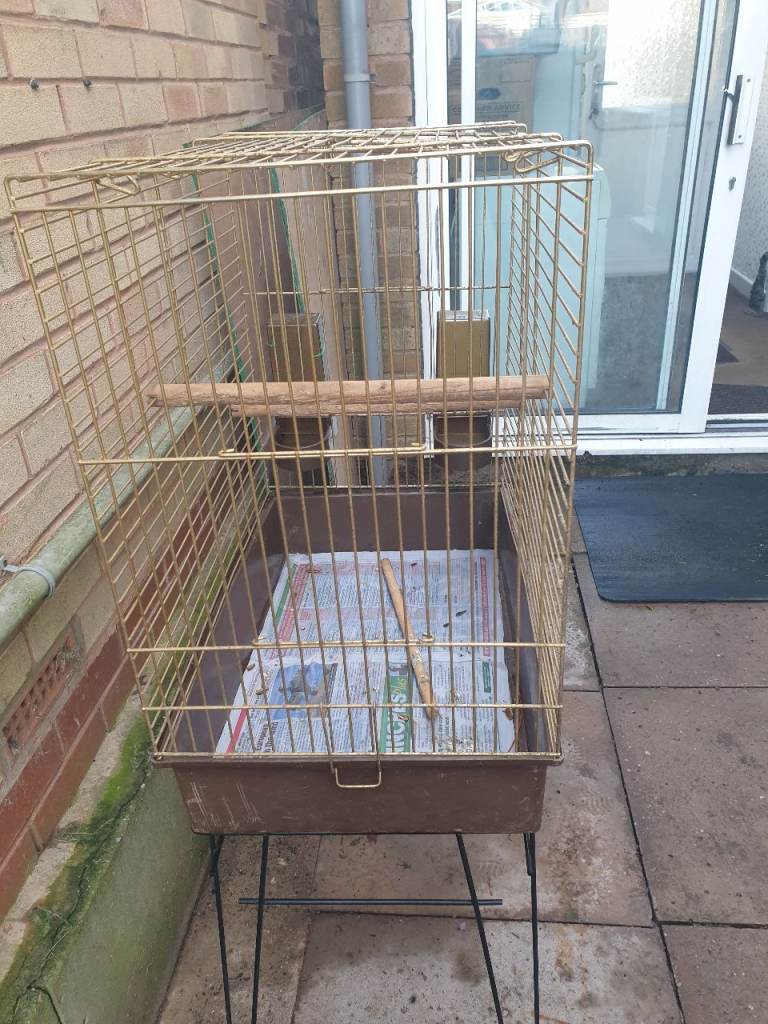 Bird cage 