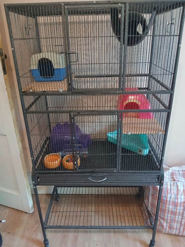 Small animal cage