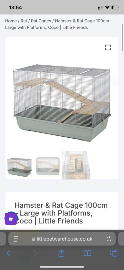 Rat Cage and Set-Up 