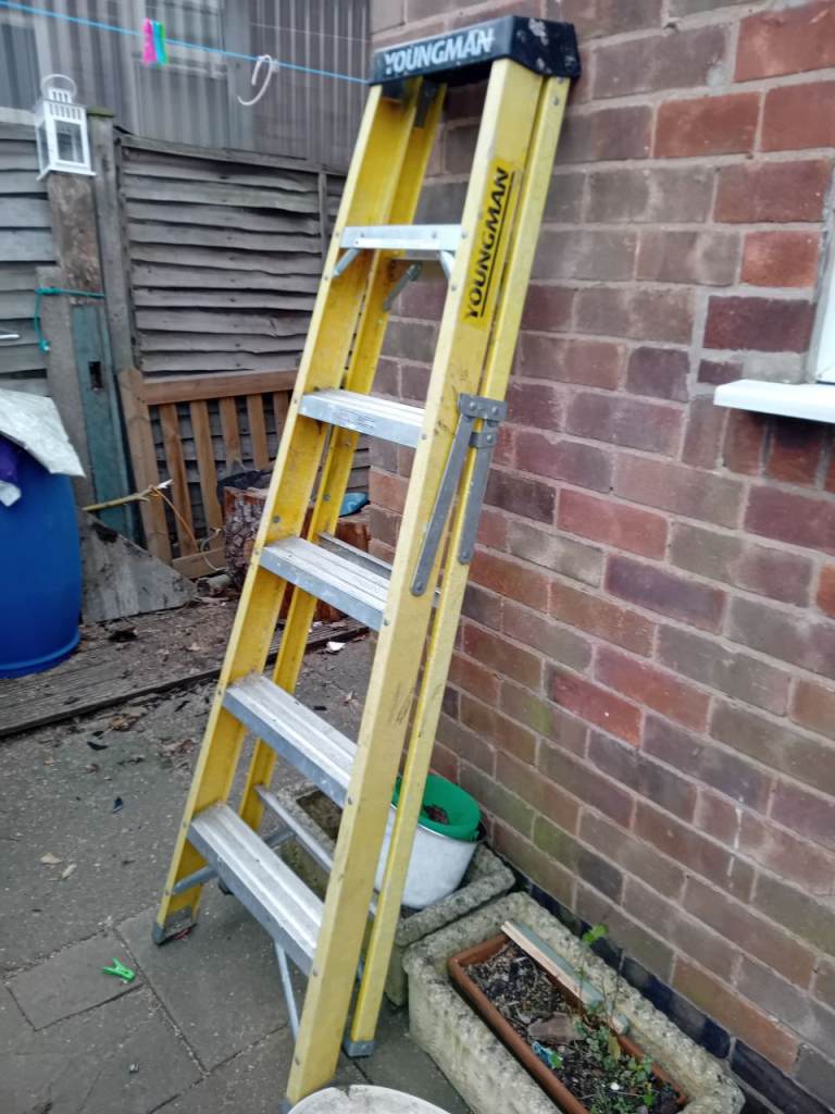 Youngman ladders 6 rung