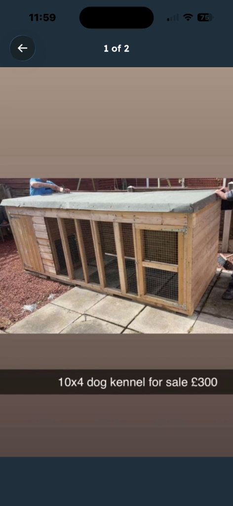 10x4 dog kennel 