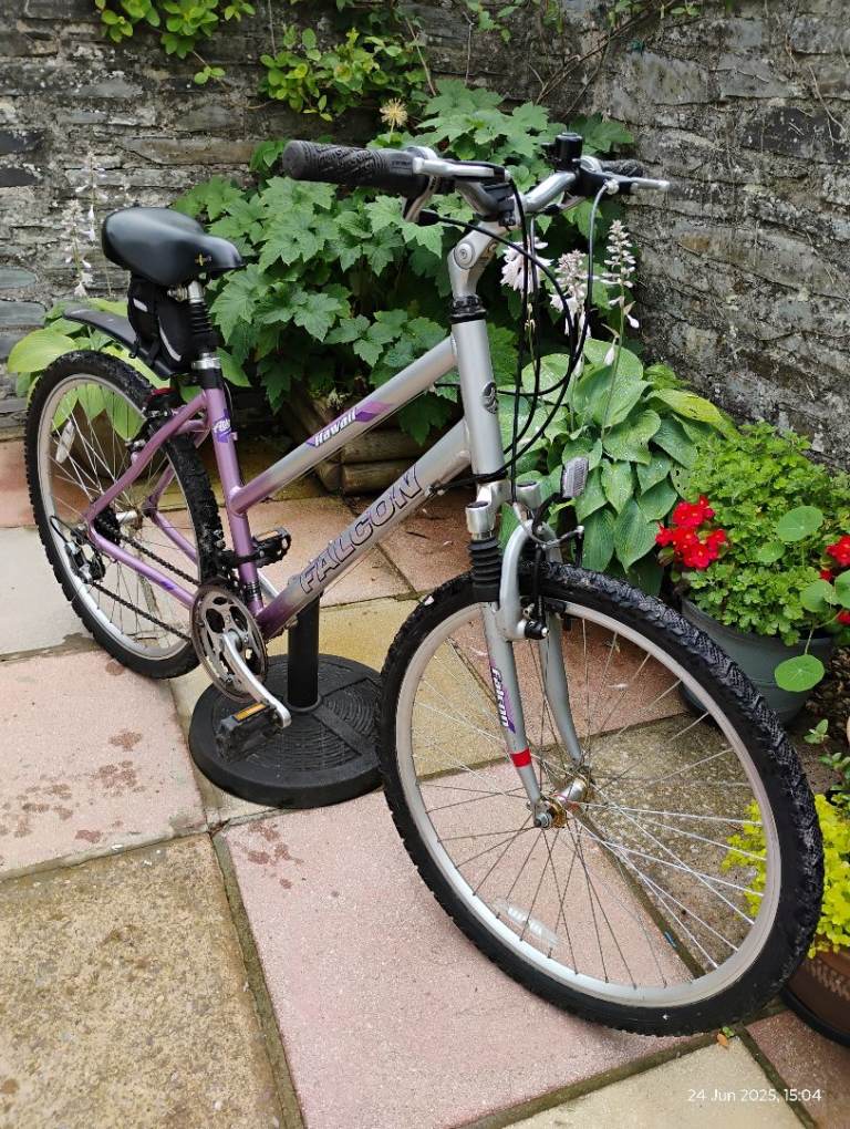 image for Ladies Mountain/Leisure Bicycle 