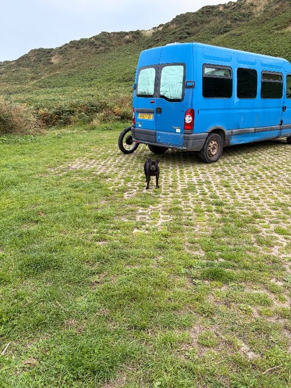 Renault, MASTER (X70), Other, 2007, 2464 (cc)
