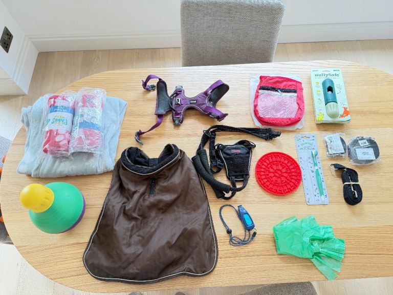 Free! Puppy stuff - new or very lightly used
