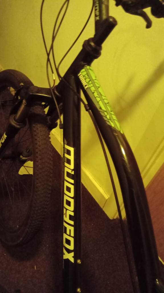 Muddyfox mfx mountain bike