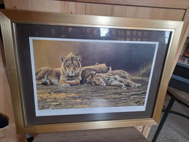 Stephen Gayford Three Princes