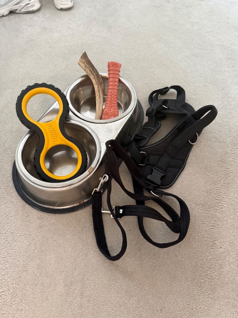 Free Large Dog Accessories – Bowls, Toys, Harness & Halti Lead