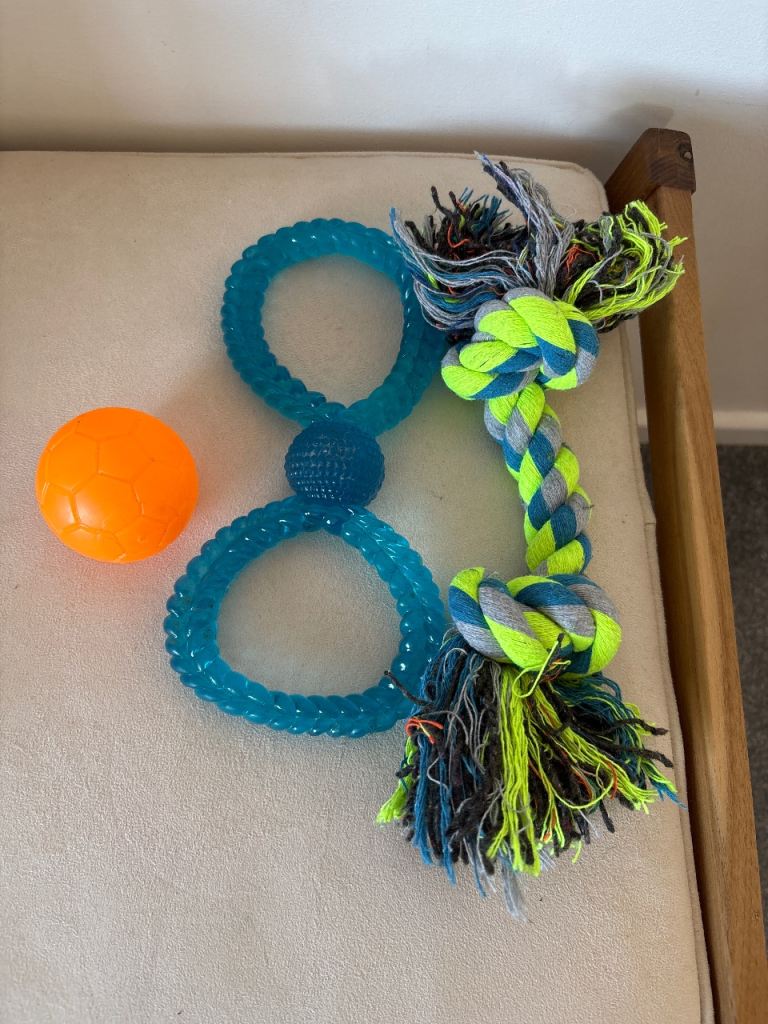 Dog toys 