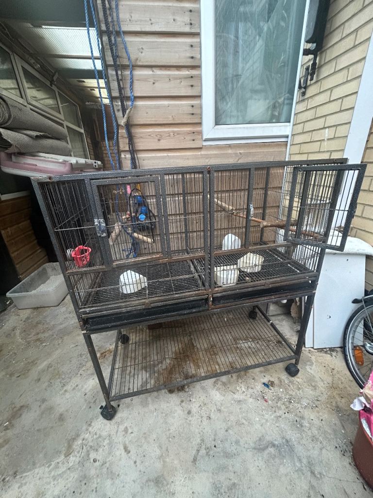 Big bird cage