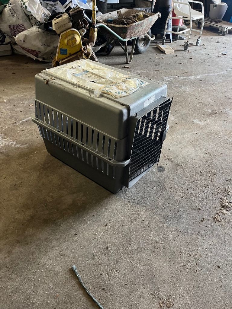 Dog travel cage