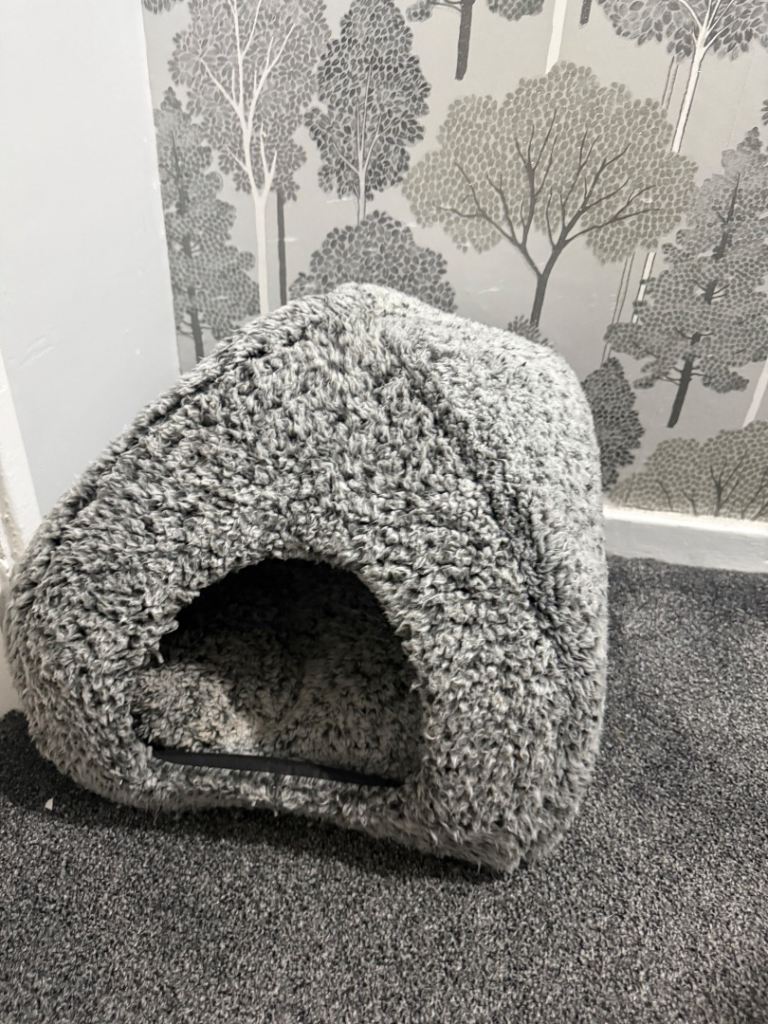 Two cat beds