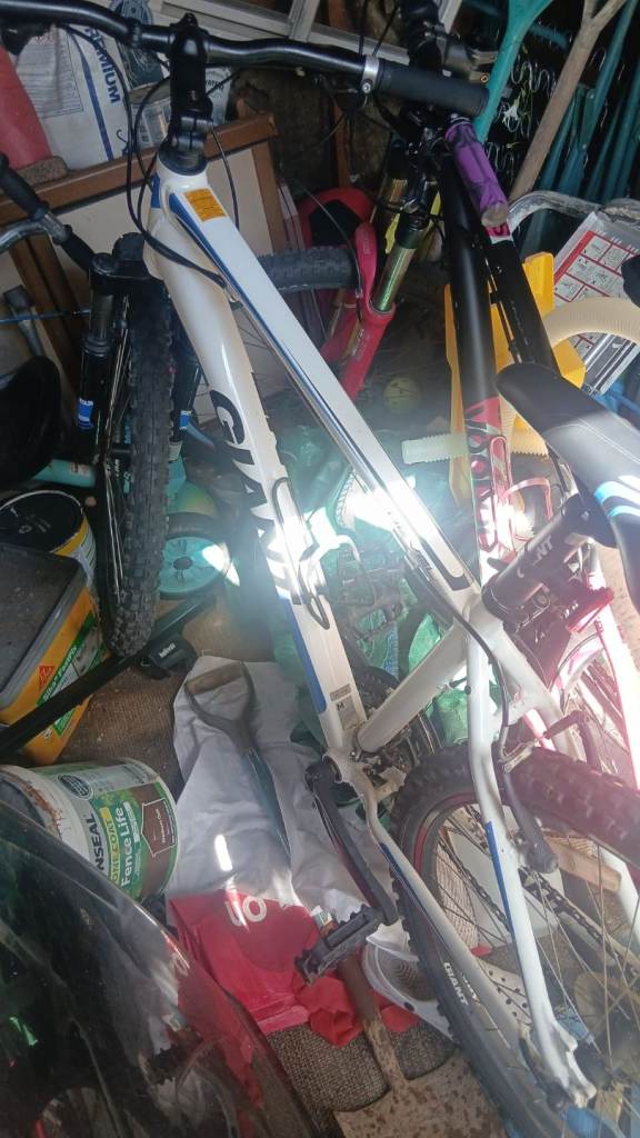 Giant Mountain Bike – White, Good Condition