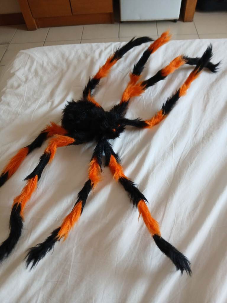 FURRY SPIDERS