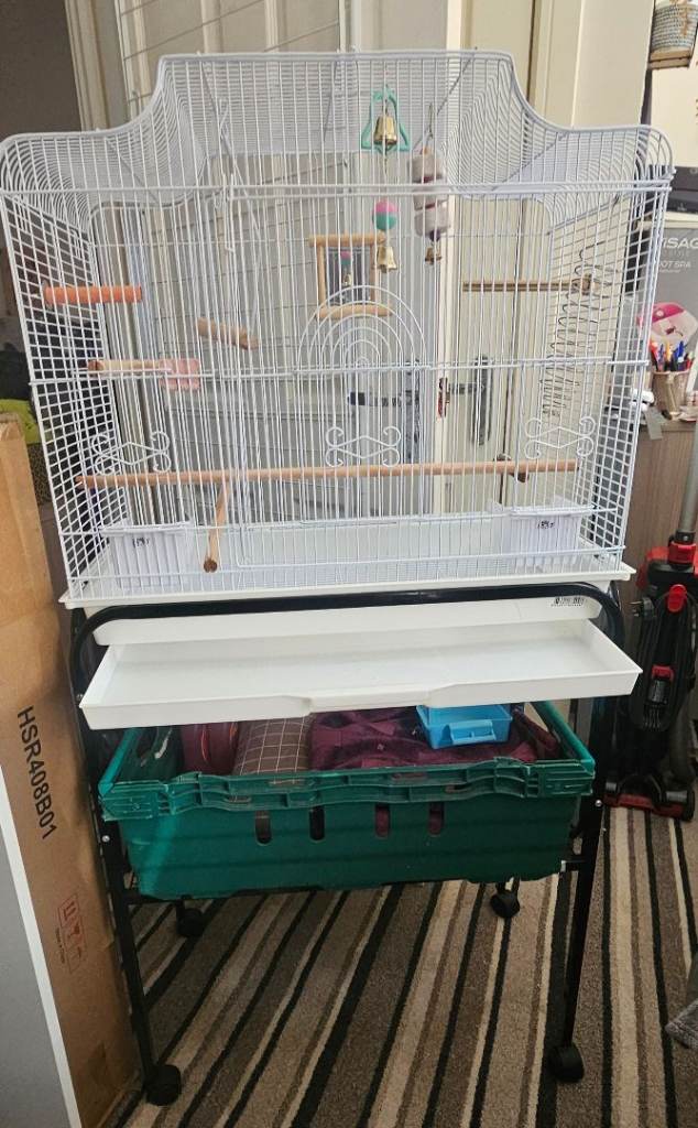Bird cage 