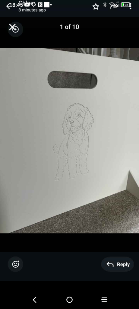 Doggy Stair Gate 