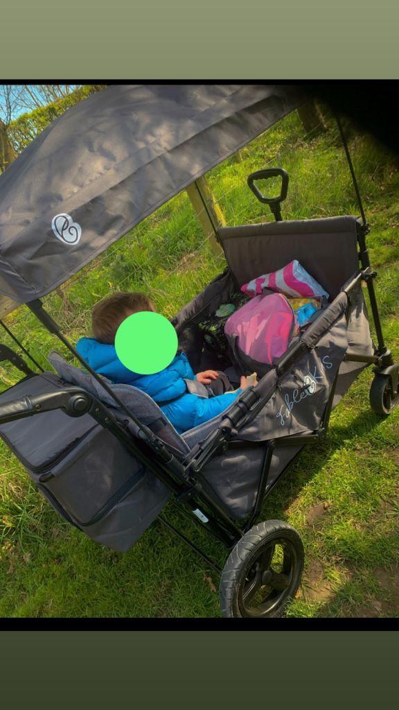 4 seater wagon stroller 