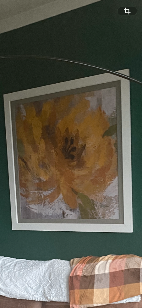 Large Sunflower Framed Print