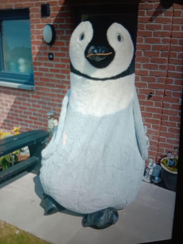 Very Big happy feet £10