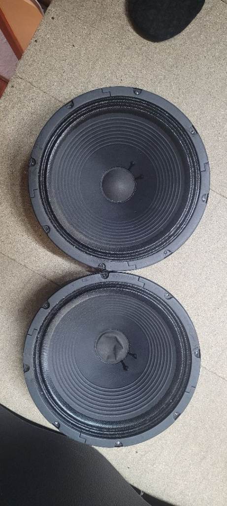 Vox 12" Woofer Speakers