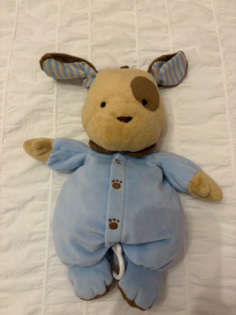 Musical Soft plush Dog Toy