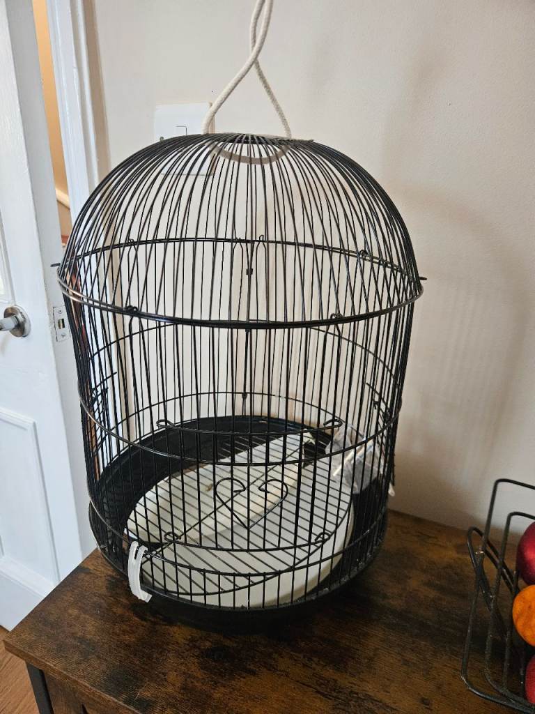 Bird carry cage 