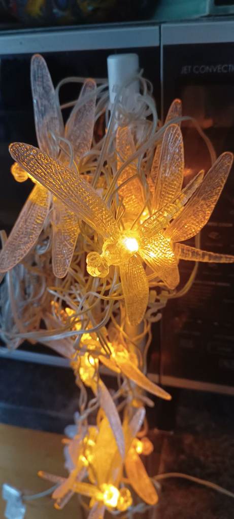 FREE Indoor / outdoor dragonfly fairy light string light