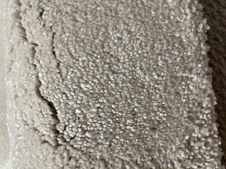 Brand new large of cut piece of carpet, super soft ,extra thick pile