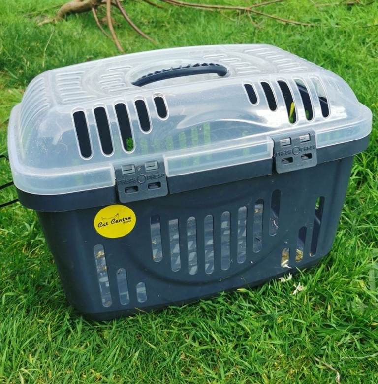 Pet Carrier for Small Animals - Cat or Small Dog Travel Crate