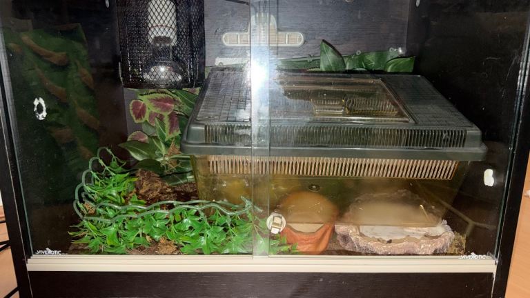 Snake tank/vivarium