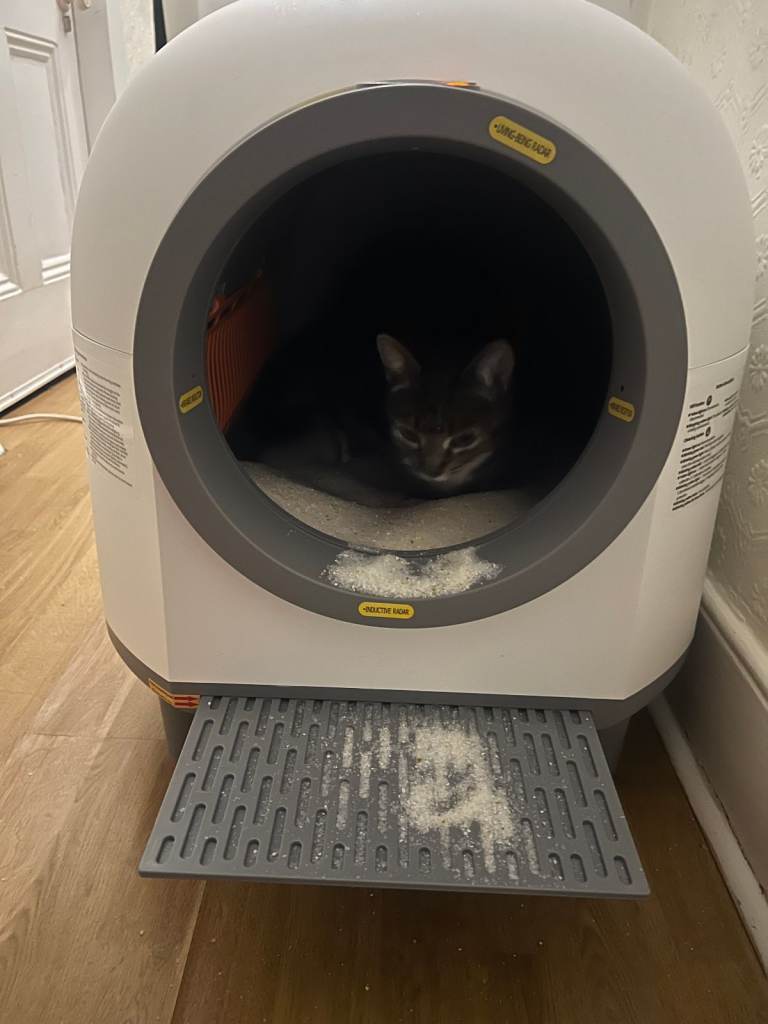 BJNN Self-Cleaning Automatic Cat Litter Tray