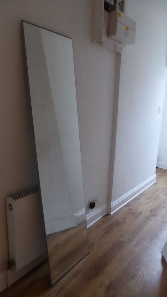 Very Big Mirror 194cm x 49.5cm