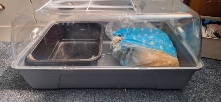 Small animal spare cage with a bit of bedding