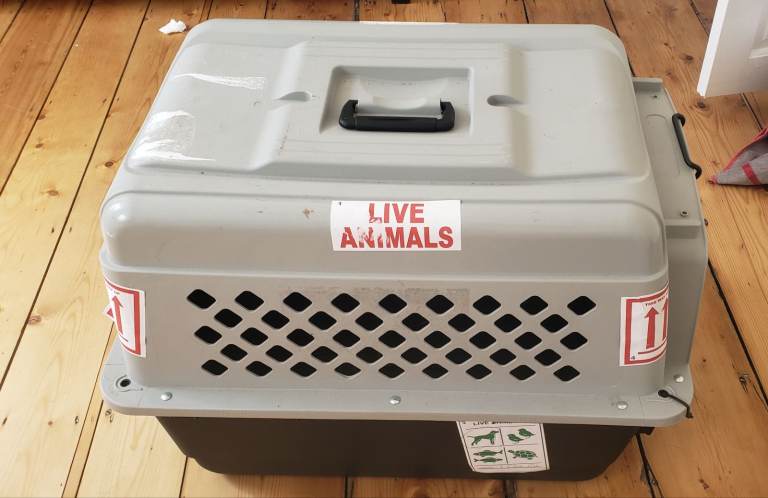 Dog Travel Carrier Sturdy Hard Plastic Airline Approved