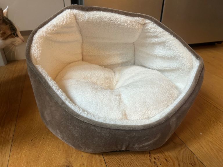 Cat bed with removable cushion
