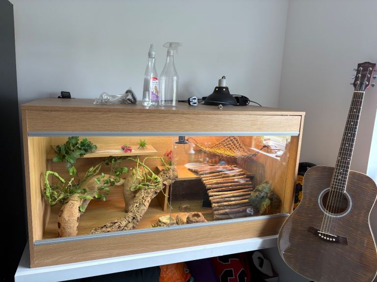 Bearded Dragon setup