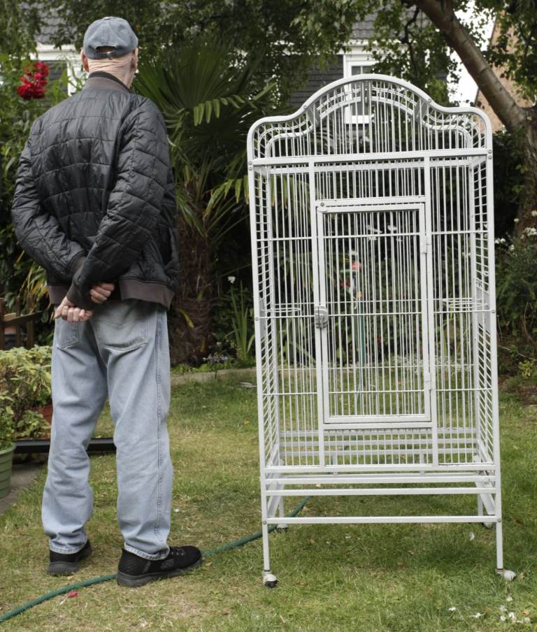 large parakeet bird cage