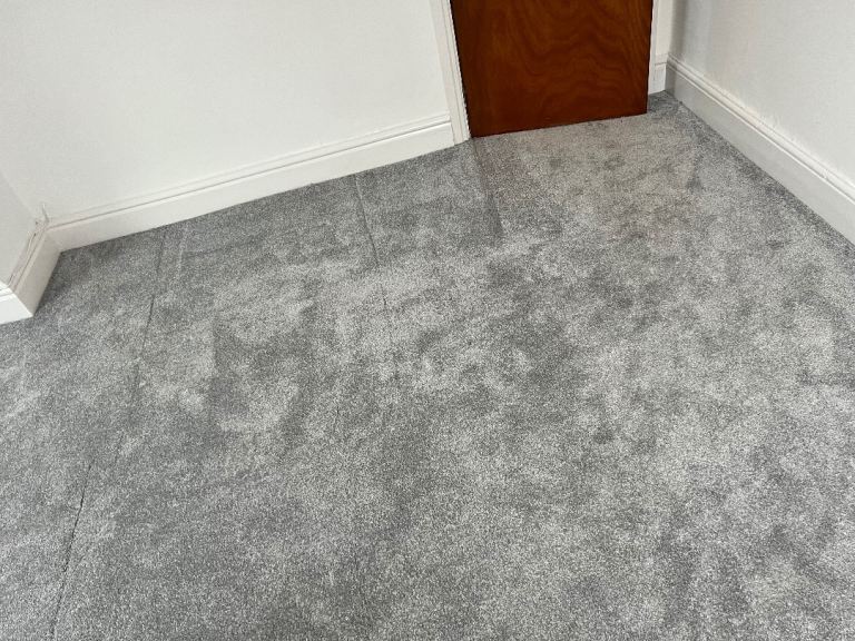Grey Carpet
