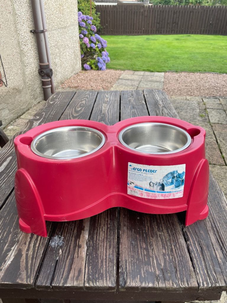 Dog feeder