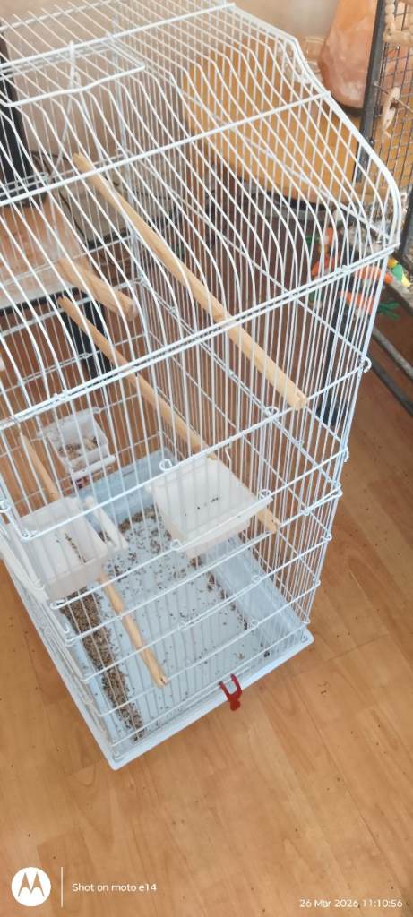 Large bird cages