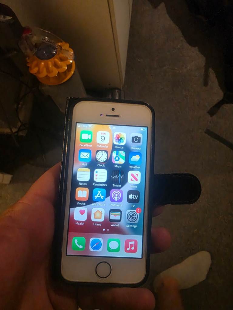 Apple iPhone 5S White - Good Condition