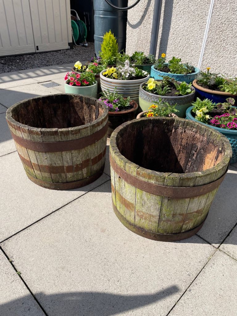 2 whisky barrel planters