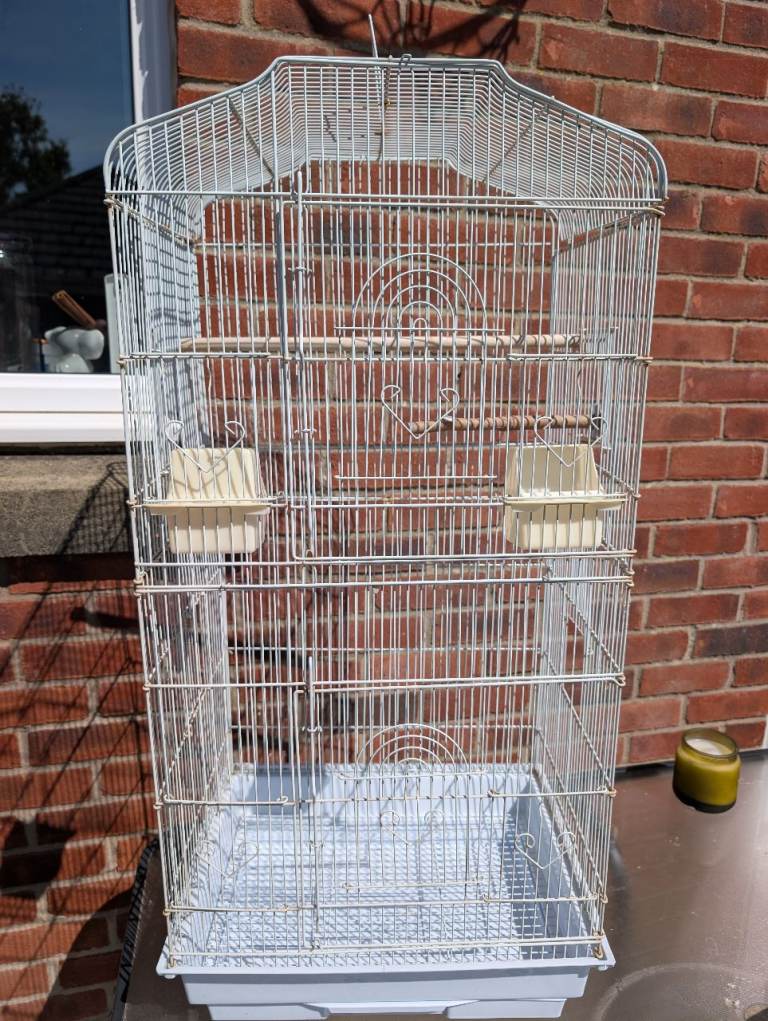 Bird cage 