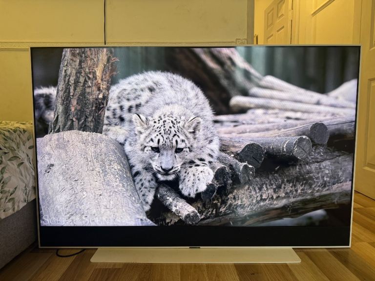 SMART TV SKY GLASS 55”