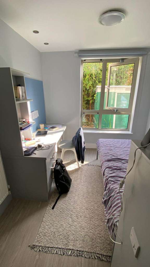 17m² studio in student residence in London - May to mid-July - lease transfer