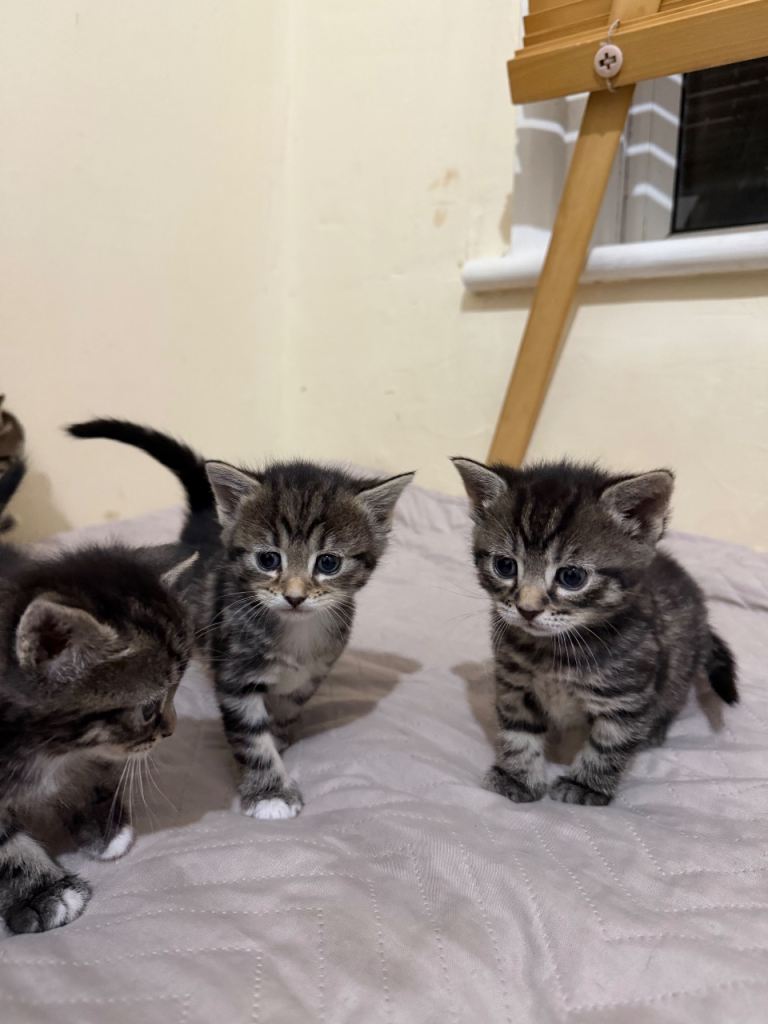 ALL ARE RESERVED ✔️