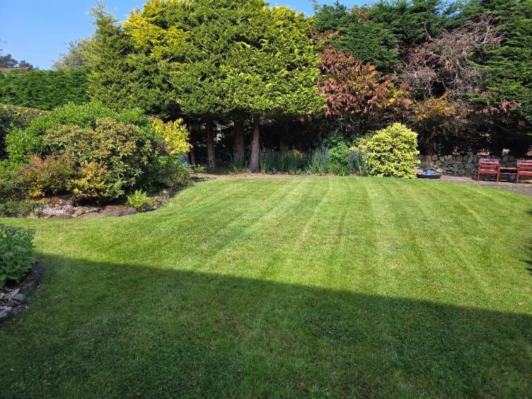 Local Reliable Gardener – Weeding, Pruning & Garden Bed Tidying