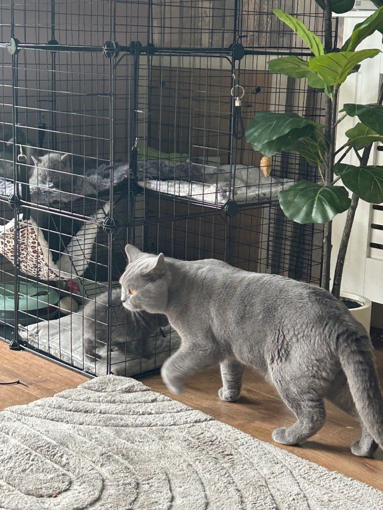 Bsh 1 boy  remaining ready to leave 17th June rest are reserved 