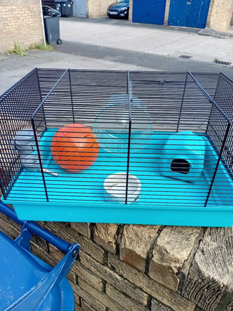 Hamster cage and accessories 
