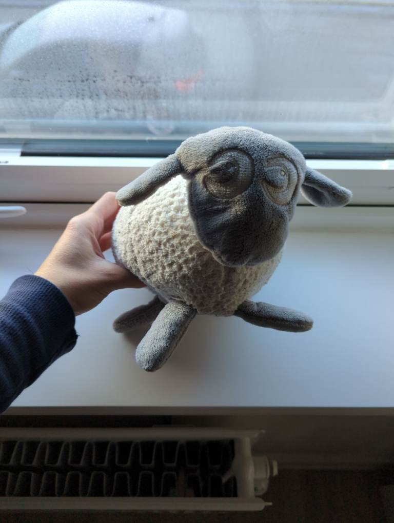 Ewan the dream sheep